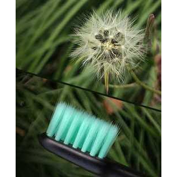 Сменная насадка Enchen T2 black (soft)