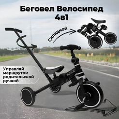 Беговел-велосипед Bubago Flint BG-FPY-109-10 с ручкой (черный/белый)