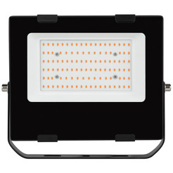 Фитопрожектор ЭРА FITO-50W-RB-LED