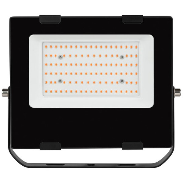 Фитопрожектор ЭРА FITO-50W-RB-LED