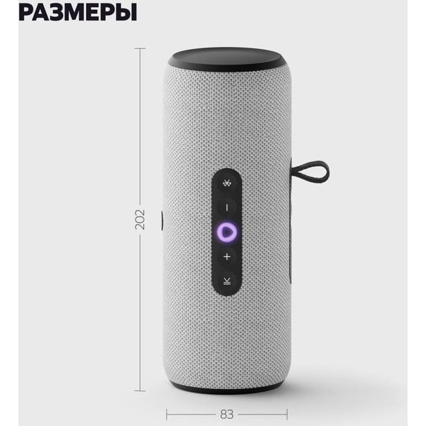 Портативная Умная колонка Яндекс.Станция Стрит YNDX-00030GRY (серый)