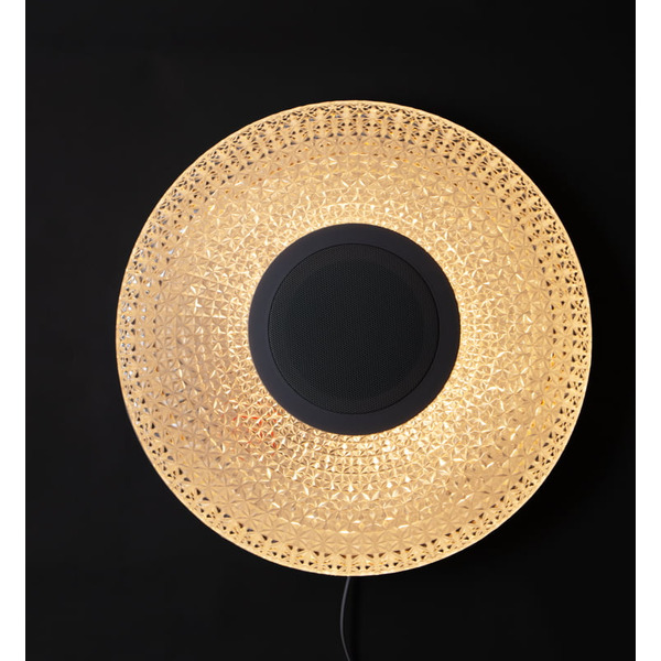 Светильник настенно-потолочный REXANT 624-001 Сатори