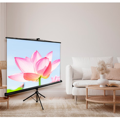 Экран CACTUS Triscreen CS-PST-104x186