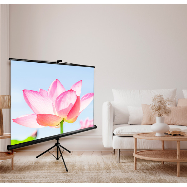 Экран CACTUS Triscreen CS-PST-104x186