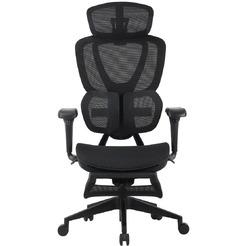 Кресло компьютерное EVOLUTION LX 1 Black