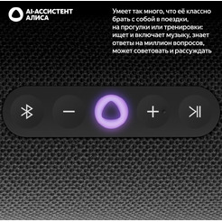 Портативная Умная колонка Яндекс.Станция Стрит YNDX-00030BLK (черный)