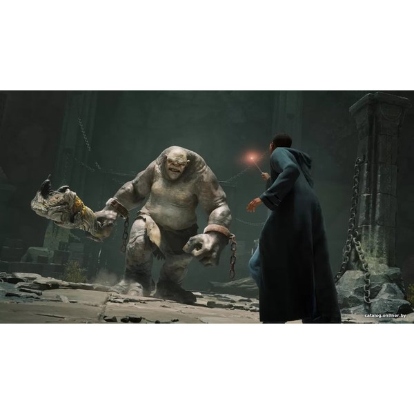 Игра Hogwarts Legacy для Xbox Series X