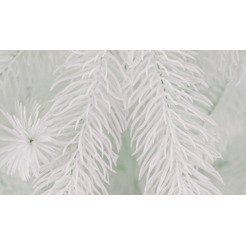 Ель искусственная Бифорес Премиум белая / ПРБ 195