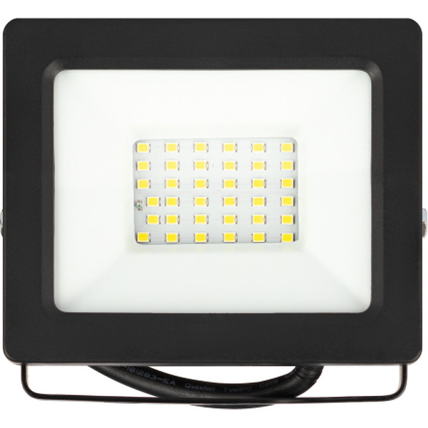 Уличный прожектор ЭРА LPR-042-3-65K-030