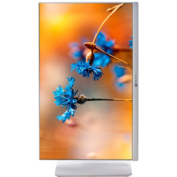 Моноблок Тесла P24WP 2416500