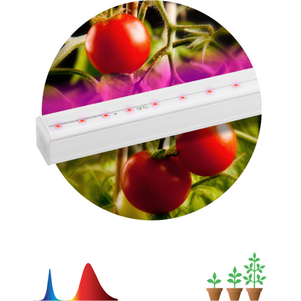 Фитосветильник ЭРА FITO-14W-Т5-N