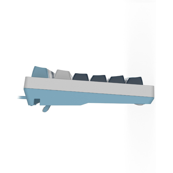 Клавиатура A4Tech Fstyler FS300 Panda Snowboarding