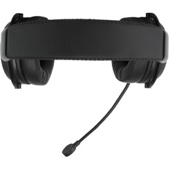 Наушники с микрофоном Acer AHW120 (ZL.HDSCC.01C)