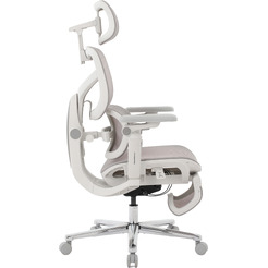 Кресло компьютерное EVOLUTION LX 5 Grey