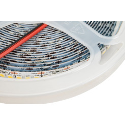 Лента светодиодная General GLS-2835-240-19.2-12-IP20-4 (5 м) 501250