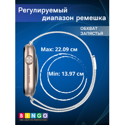 Ремешок BINGO Magnetic для HONOR Watch 5 (серебристый)