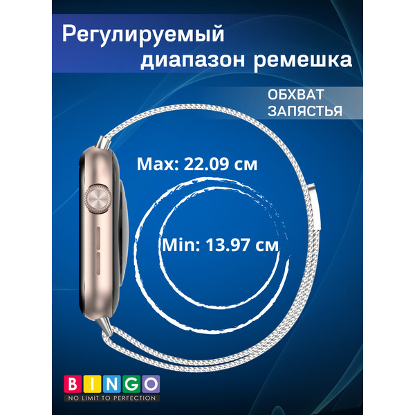 Ремешок BINGO Magnetic для HONOR Watch 5 (серебристый)