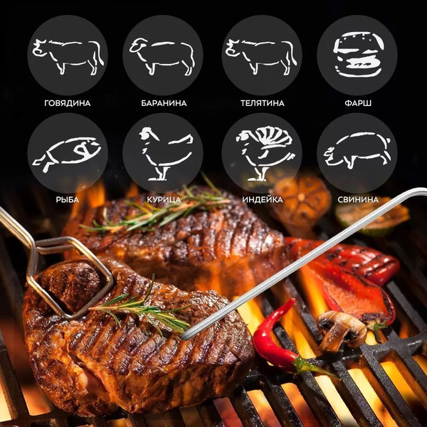 Термометр для мяса Kitfort КТ-2066