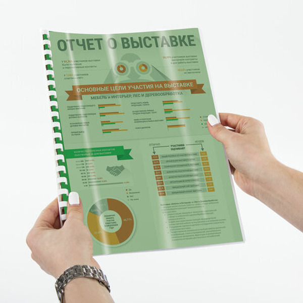 Пластиковая обложка для переплета BRAUBERG A4 150 мкм 100 шт 530828 (прозрачный/зеленый)