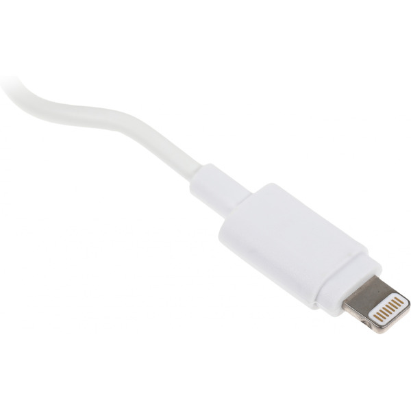 Сетевое зарядное устройство Hama H-178342