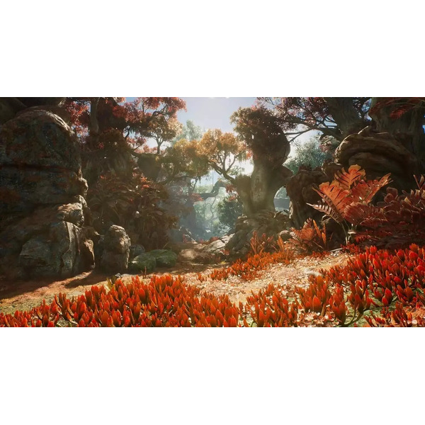 Игра Outcast: A New Beginning для PlayStation 5