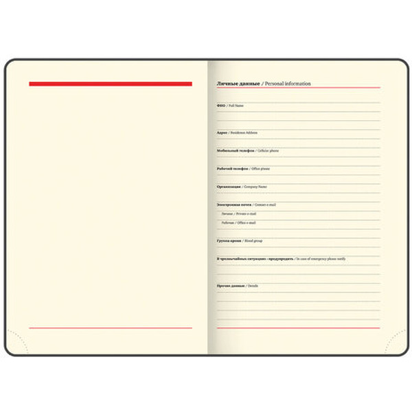 Ежедневник недатированный BRAUBERG Iguana 125092