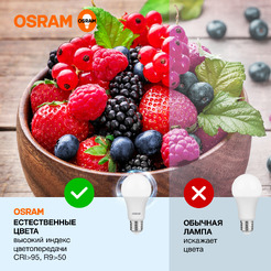 Лампа светодиодная OSRAM A300 30W6500К 230V E27 10X1