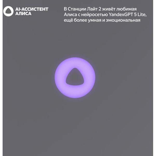 Умная колонка Яндекс.Станция Лайт 2 (YNDX-00026GRY) графит