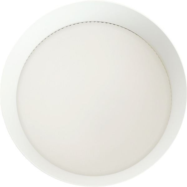 Светильник Feron HL388 48803