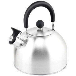 Чайник со свистком ASTIAT AST-1023