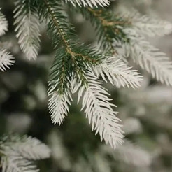 Ель искусственная National Tree Company ФОР/зл-бел-160 (Форест)