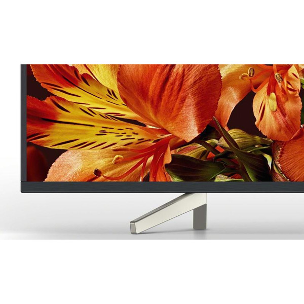 Телевизор SONY BRAVIA KD-49XF8596