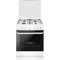 Кухонная плита Hansa FCGW621109