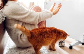 Лучшие обогреватели