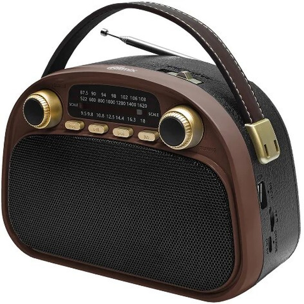 Радиоприемник Ritmix RPR-040 (шоколадный)