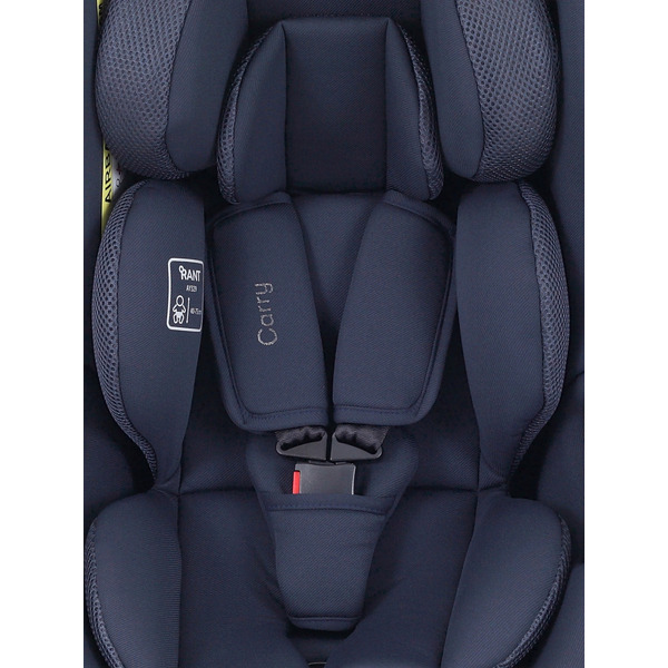 Автокресло Rant Carry 2.0 AY329 (графит)