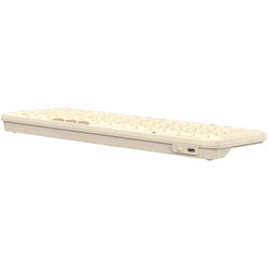 Клавиатура A4Tech Fstyler FBK36C AS (бежевый)