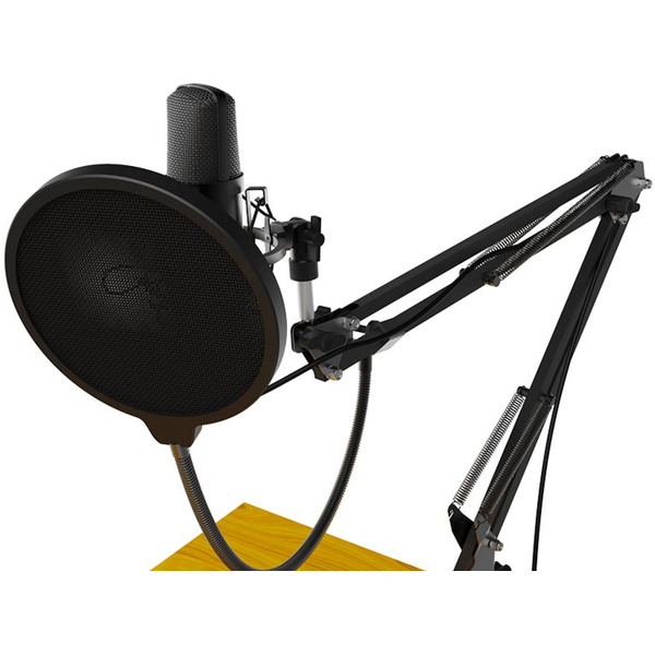 Микрофон Ritmix RDM-169