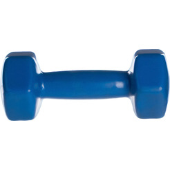Гантель Sundays Fitness WD1453 (3кг, синий)
