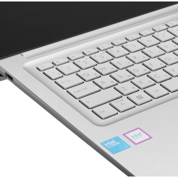 Ноутбук ASUS Vivobook 17 X1704VA-AU1384W Cool Silver (90NB13X1-M011J0)