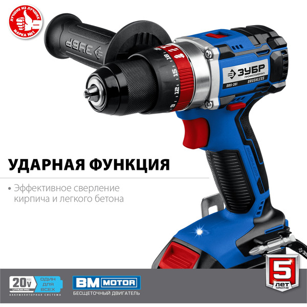 Дрель-шуруповерт Зубр Профессионал DBS-201-22 (с 2-мя АКБ, кейс)