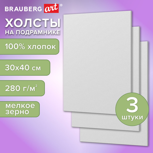 Холсты на подрамнике BRAUBERG ART 192677 (3 шт)