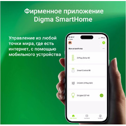 Выключатель Digma DiSwitch 2p (DSW2P)