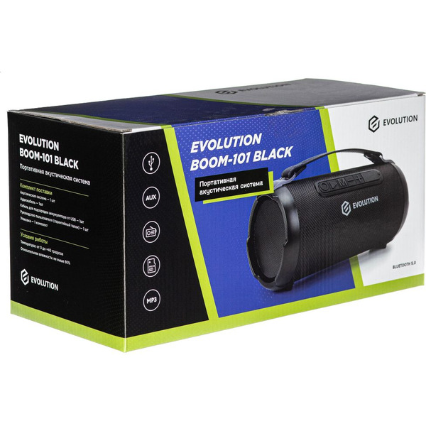 Беспроводная колонка Evolution BOOM-101 (черный)