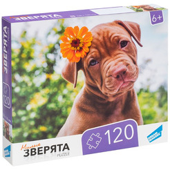 Пазл Dream Makers Зверята RI1203C