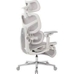 Кресло компьютерное EVOLUTION LX 5 Grey