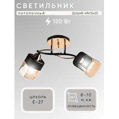 Потолочный светильник Aitin-Pro НПБ 02-2x60-101 / 7570/2 (золото/черный)