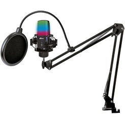 Микрофон Ritmix RDM-270 (черный)