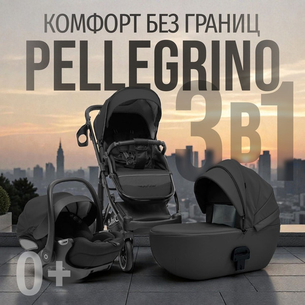 Детская универсальная коляска Bubago Pellegrino 3 в 1 BG 163-1 (черный)