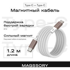 Кабель Magssory CBL001 USB-C 60W 1.2м титан (CBL001t)